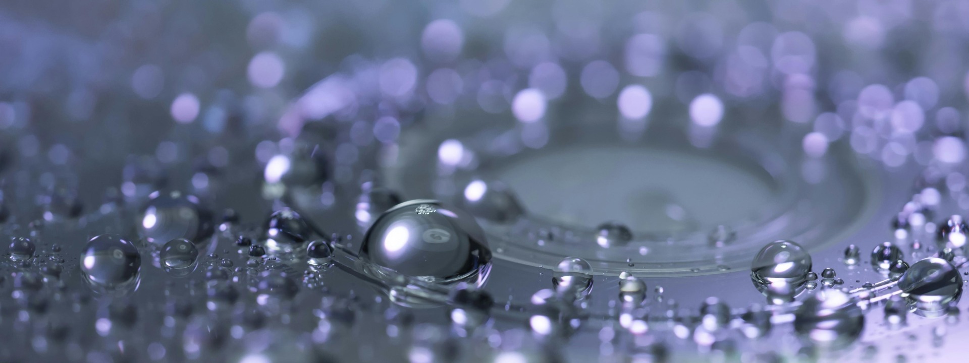 LAUNCHING EVENT FOR THE NETWORK FOR  PREVENTION OF CHILD SEXUAL ABUSE cover image