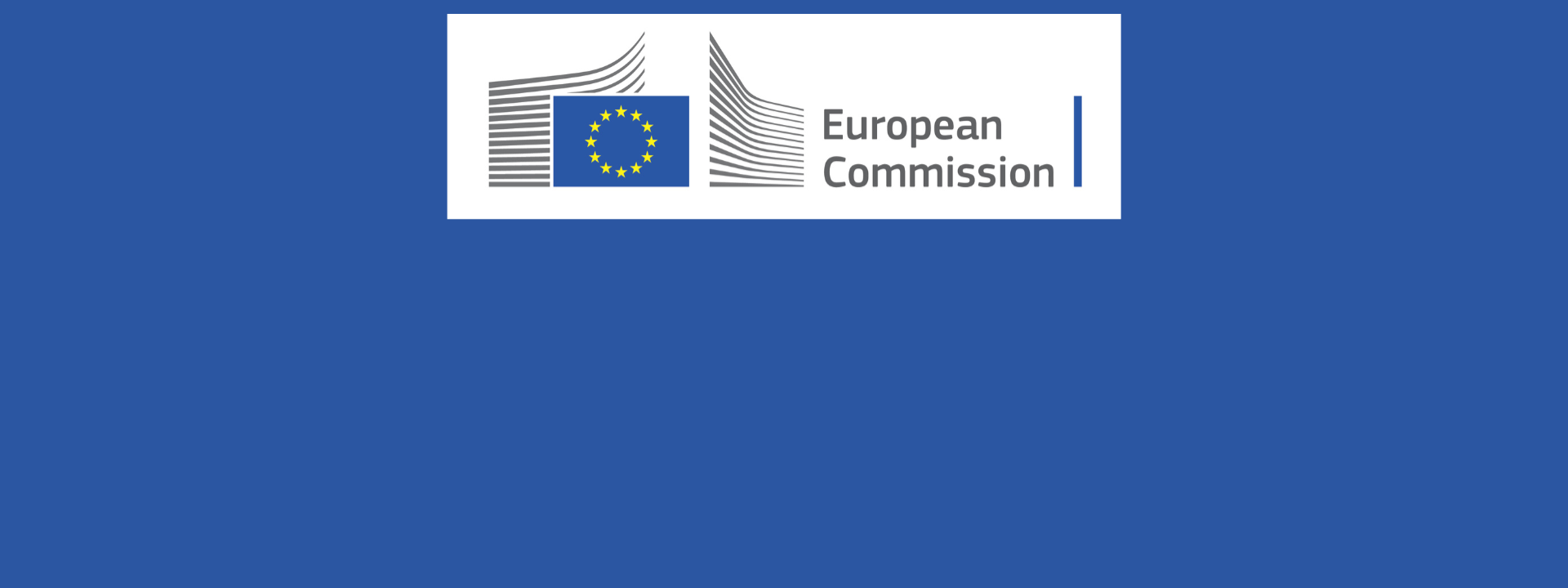 Workshops on the new EU Strategy on Combatting Trafficking in Human Beings cover image